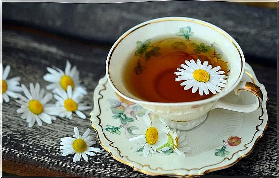 Chamomile