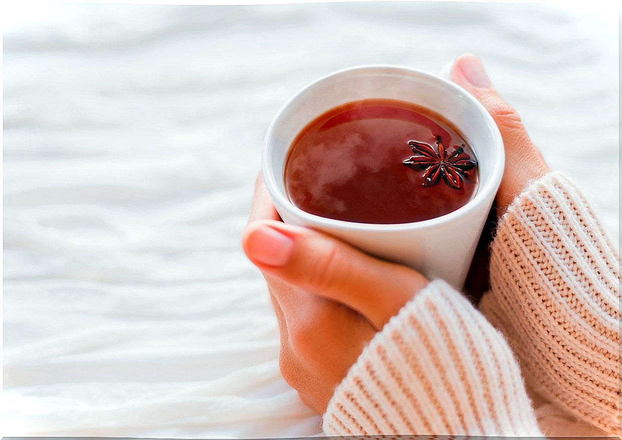 infusion-star anise, help improve digestive problems