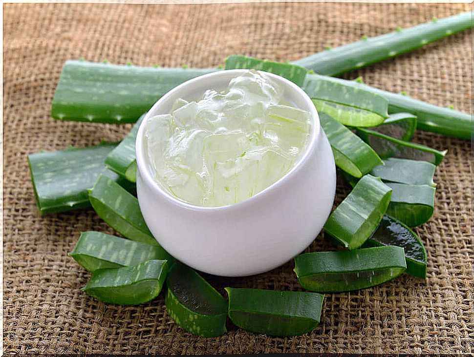 5 properties of aloe vera that make it worth having at home