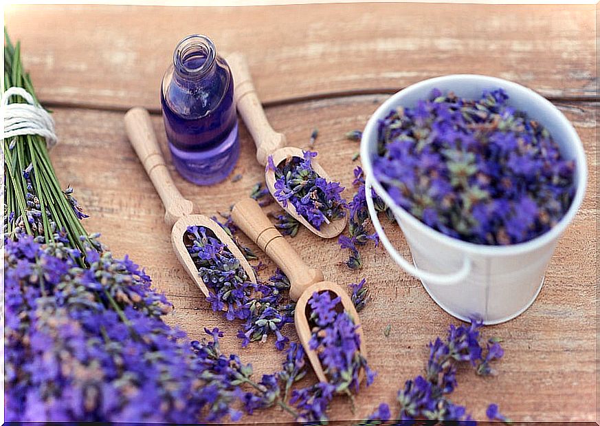 5 relaxing remedies with lavender