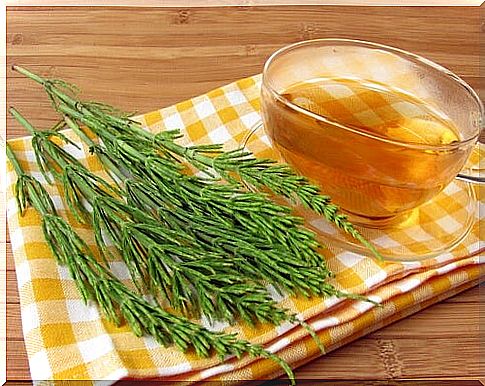 Horsetail tea for cavities