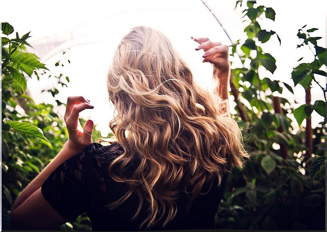 How to prepare a natural serum at home to nourish and repair hair