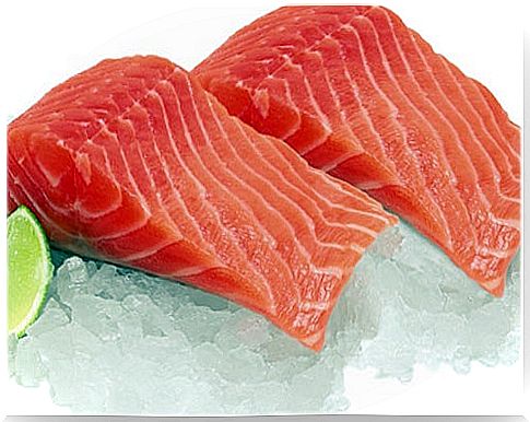 Salmon