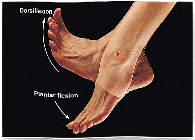 Ankle movements