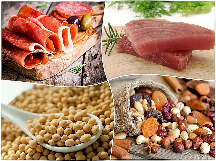 Are Protein Diets Good or Bad?