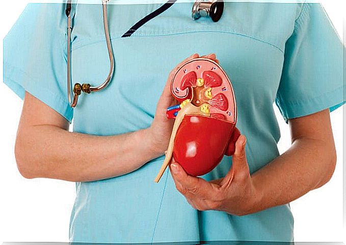 evolution of chronic kidney disease