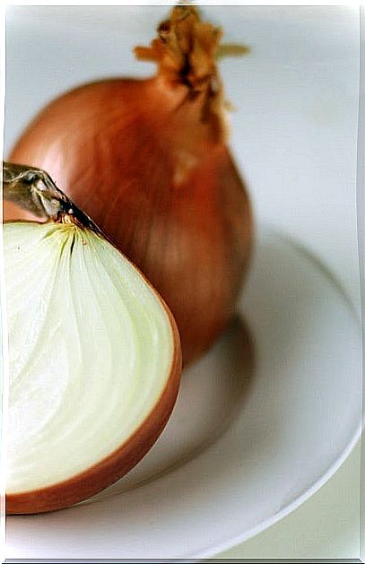 Onion