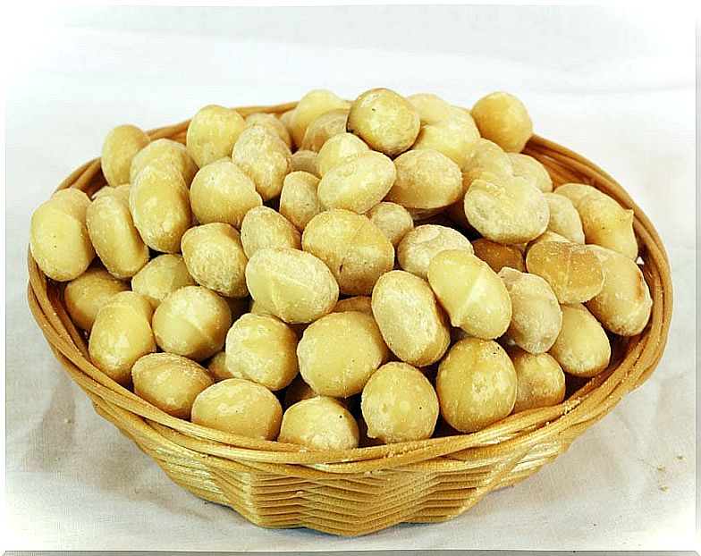 Macadamia nuts