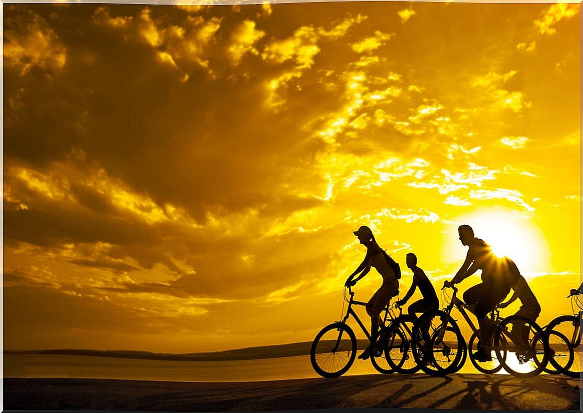 Bicycles as a summer exercise