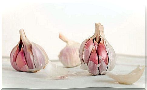 Heads of garlic