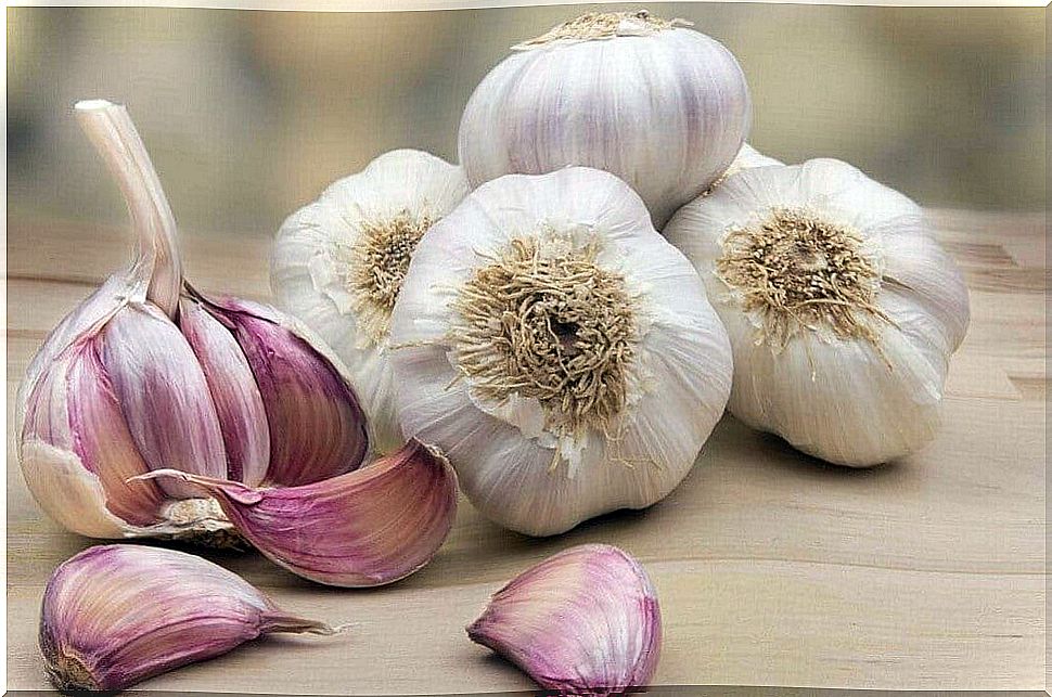 Garlic.