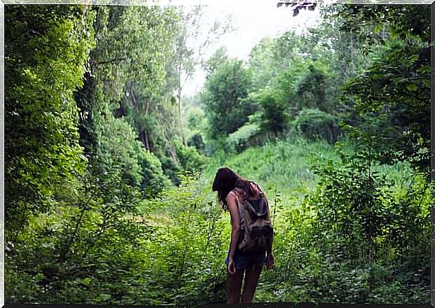 Forest bath.