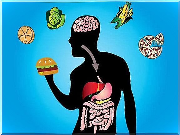 metabolic flexibility