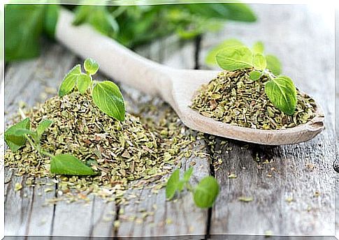 Oregano for an expectorant syrup