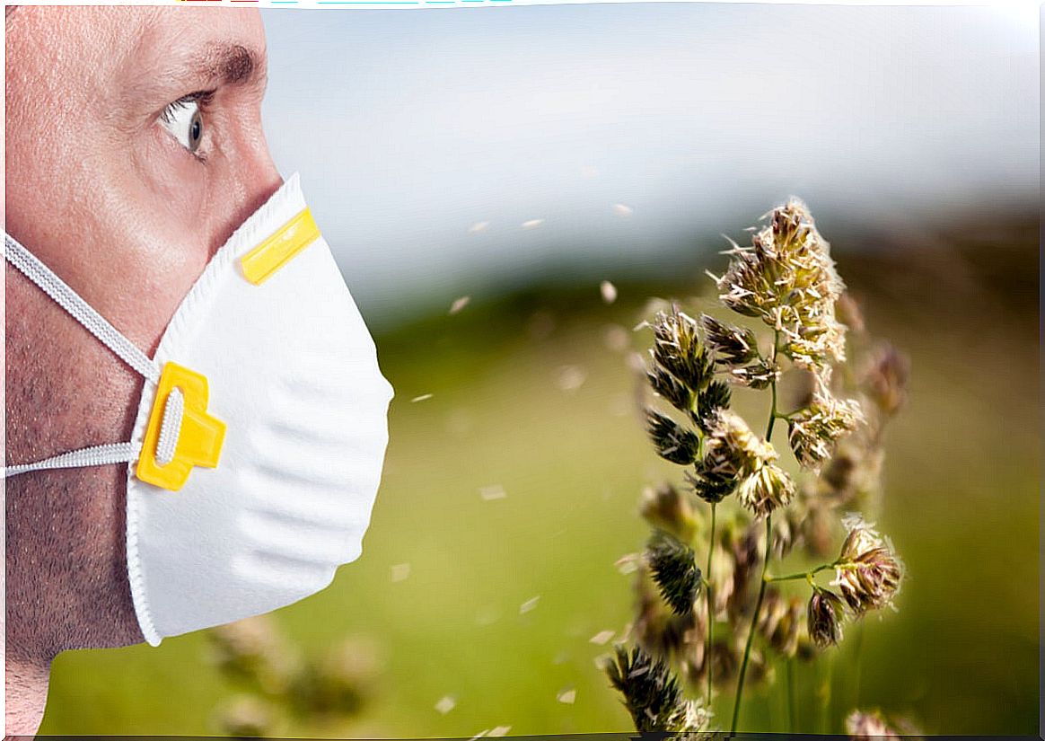 Mask against pollen.