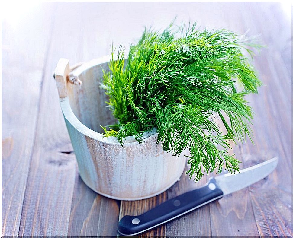 Dill is a delicious spice to combine with many ingredients.