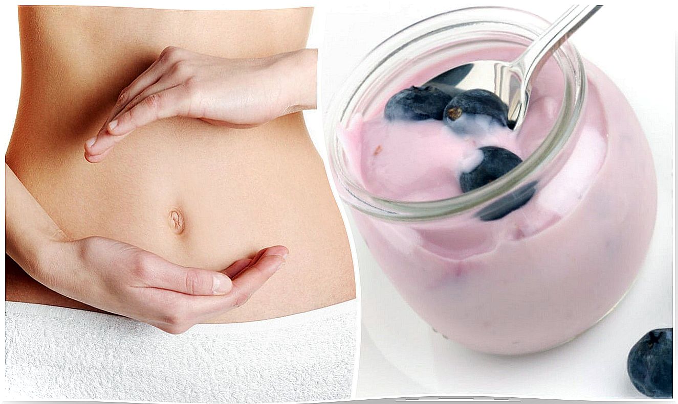 Regulate the intestinal flora and protect your health with this delicious yogurt and blueberry dessert