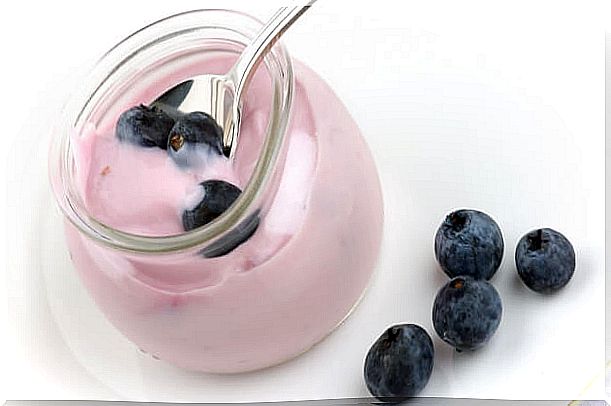 delicious yogurt and blueberry dessert