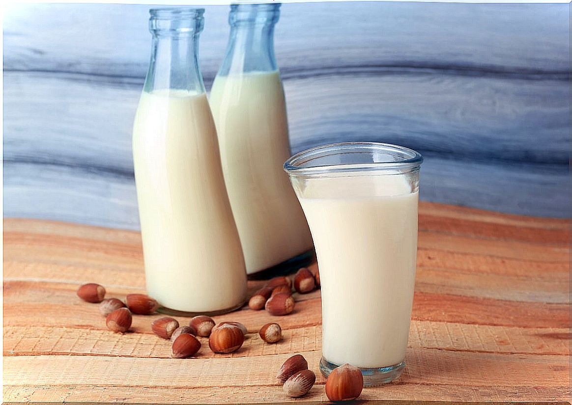 Hazelnut milk properties