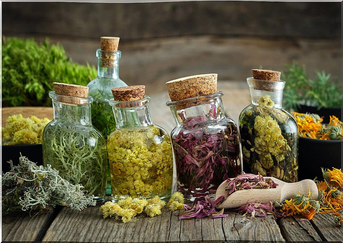 What are herbal tinctures and what are they used for?